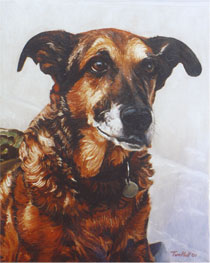 Pet Portraits www.geniusloci.co.uk