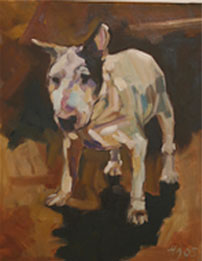 Pet Portraits