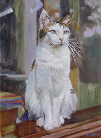 Pet Portraits Tim hall 